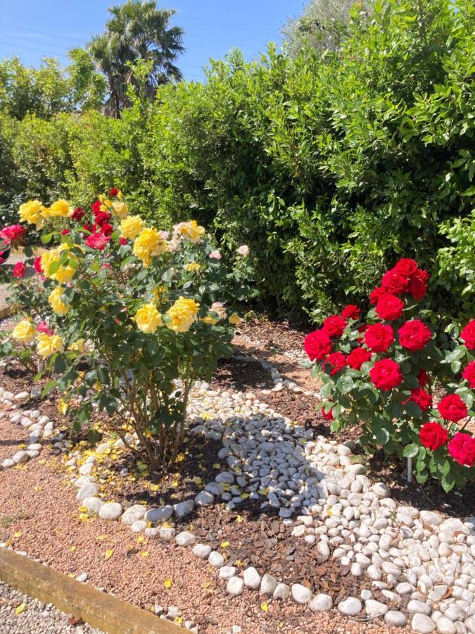 בראצ'יאנו La Rosa Del Lago מראה חיצוני תמונה