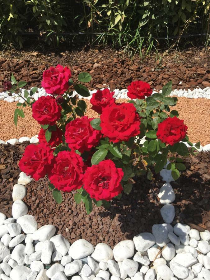 בראצ'יאנו La Rosa Del Lago מראה חיצוני תמונה